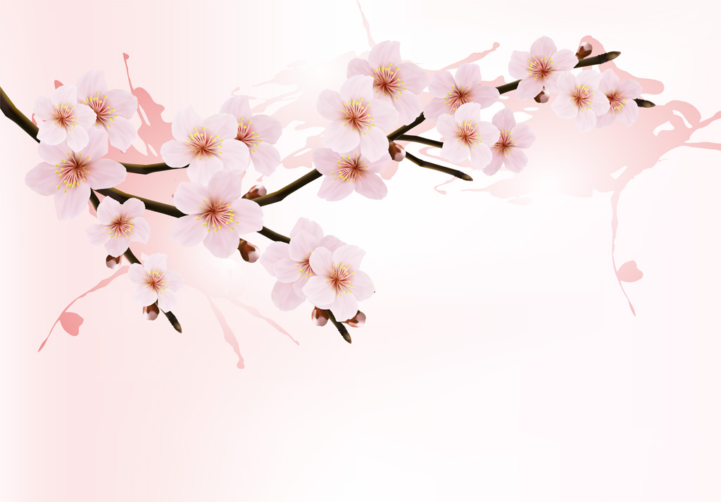 明王寺しだれ桜まつり イン神山 神山町のいまを伝える