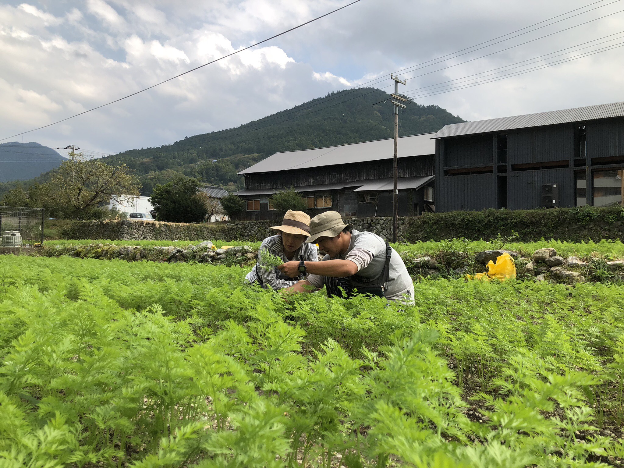 徳島県神山町で有機農業を始めてみませんか？農業研修生を募集してい