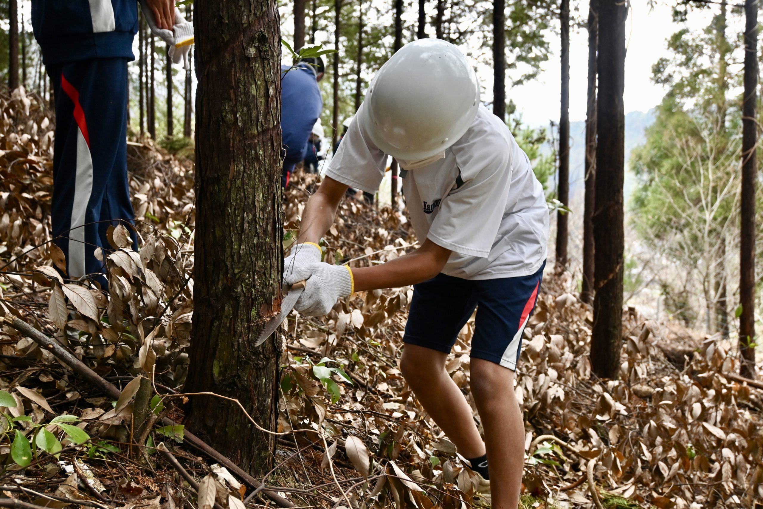 神山中学校の「林業体験」レポート｜大自然で食べるおにぎりは、いつもより美味しかった。 | イン神山｜神山町のいまを伝える