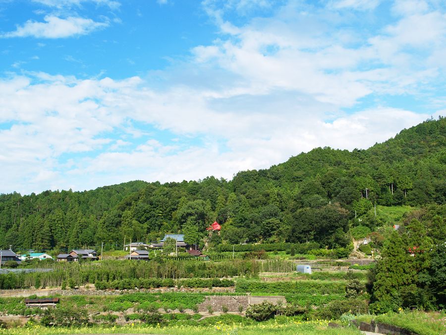 夏休み特別企画】360°の風景画を描こう［変更あり］ | アート | イン神山 四国・徳島 神山町のありのままの姿を分かちあう